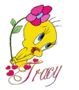 Tracy