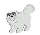 cute cat