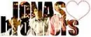 jonas brothers