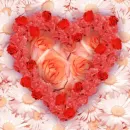 Cute Flower Heart