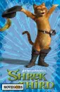 st