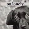 so lonely