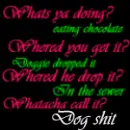 funny saying