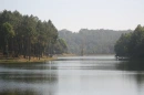 Pangung