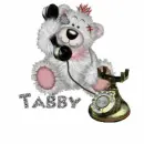 Tabby bear on phone silver