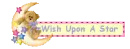 Wish Upon A Star