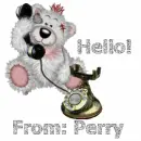 Perry phone teddy