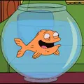 American Dad