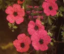 Pink spring flowers