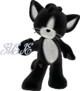 kitty