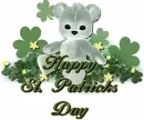 St. Pattys Bear