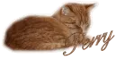 Name