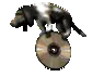 dong on a cd