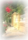 Beautiful Place