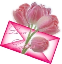 Love Letters