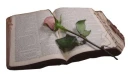 Bible