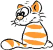 Orange Stripped Cat
