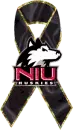 NIU Memorial Ribbon with Colored Glitter