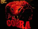 Cobra Background