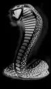 Killer Cobra Background