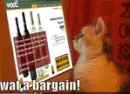 funny cat