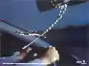 jesus funny