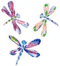 dragonflies