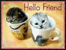 Hello Friend