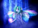 Fairy..