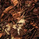 chocolates heaven