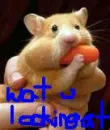cute,and funny