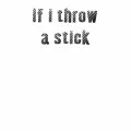 If i have a stick