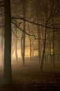Blair witch scene!