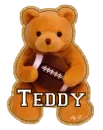 TEDDY TEDDY BEAR