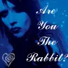 are you the rabbit??