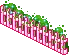 flower-bed