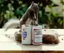 ill have a bud
