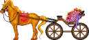 coachman