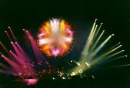 Pink Floyd Pulse