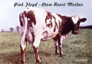 Pink Floyd Atom Heart Mother