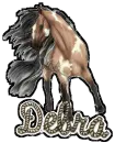 debra wild horse
