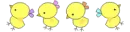 chicks