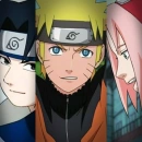 team7