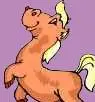 Cute horse