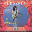 Steve Vai discography