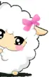 sheep