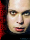 Valo
