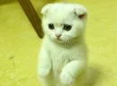 cuteee