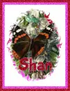 Shan