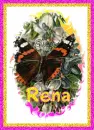 Rena